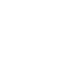 EXECUTIVE icon